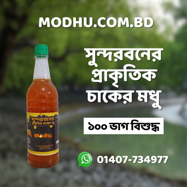 Sundorboner Modhu