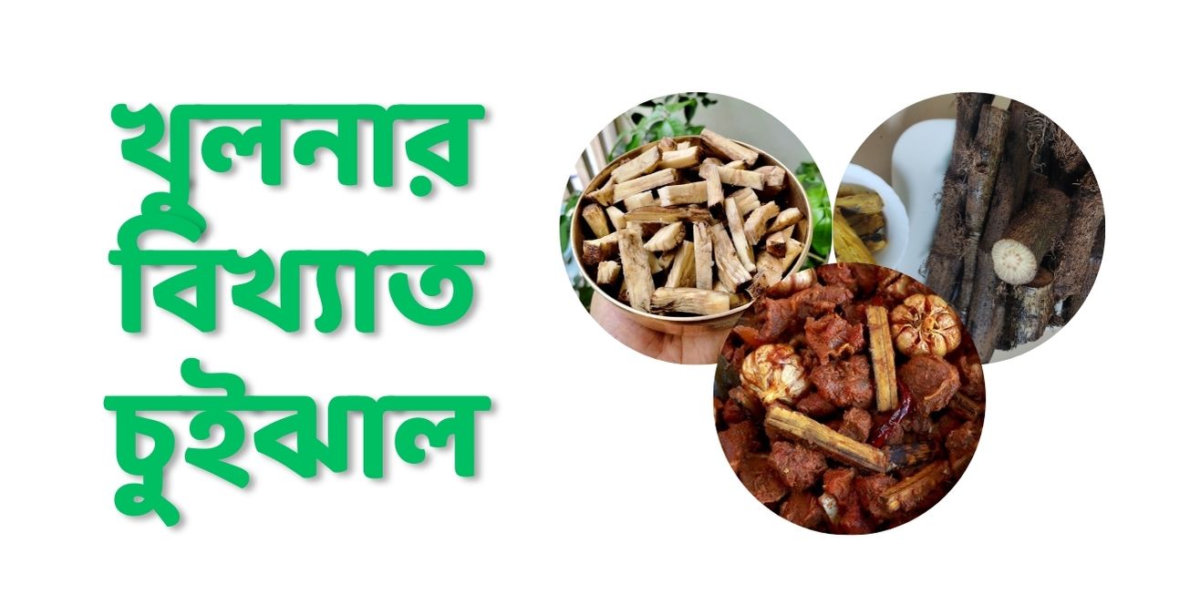 খুলনার চুইঝাল
